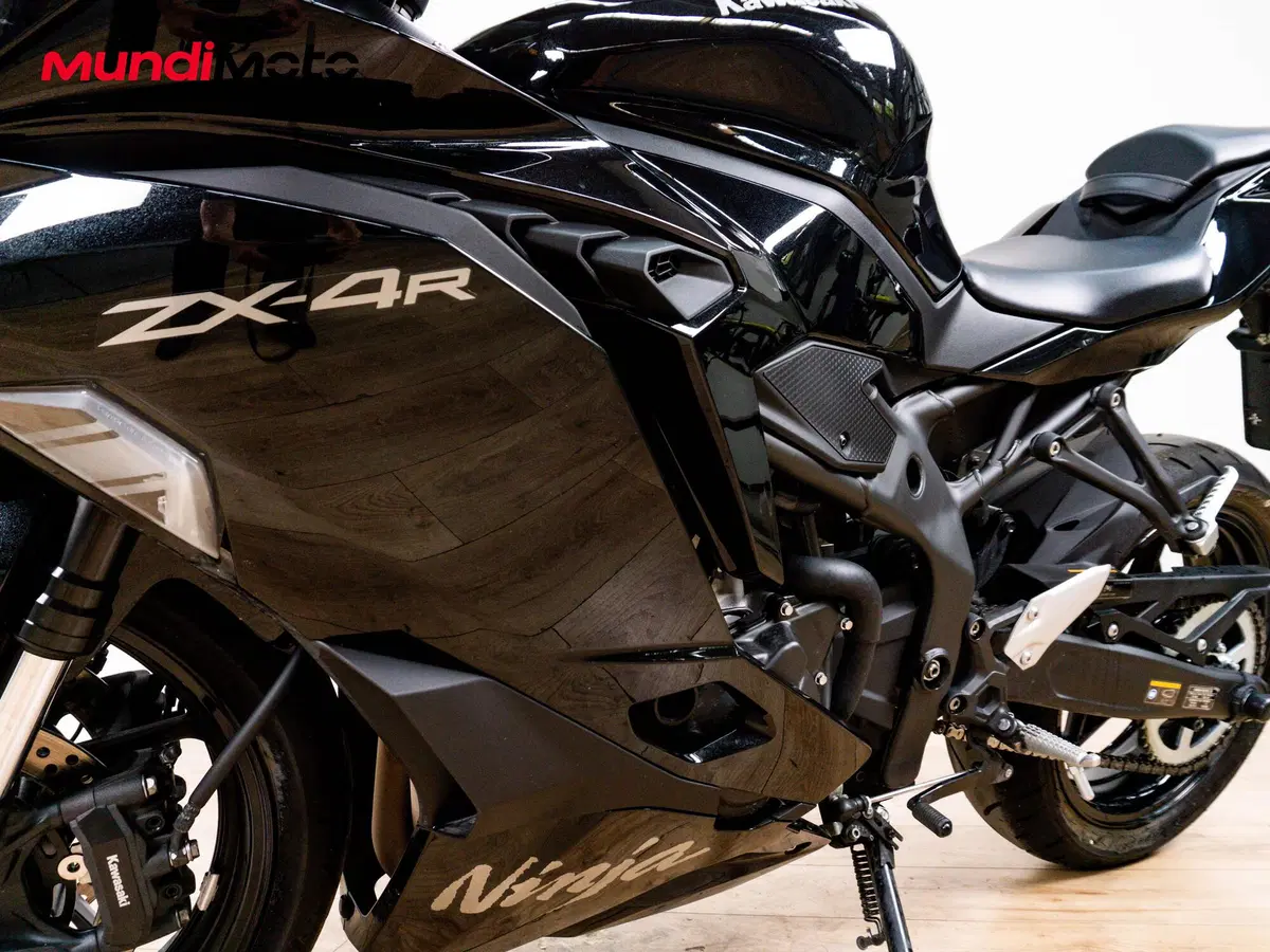 Kawasaki Ninja ZX-4RR (2024 - 26) (9)
