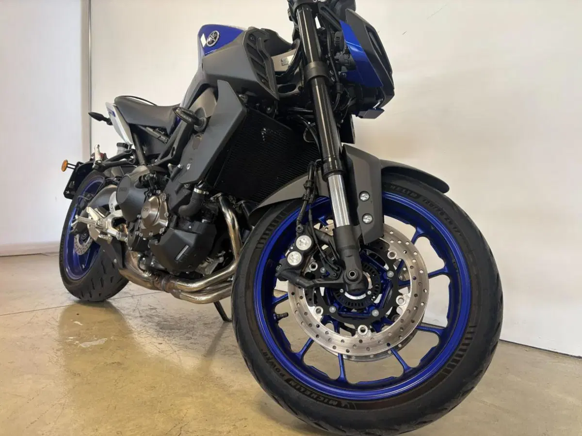 Yamaha MT-09 (2017 - 20) (3)