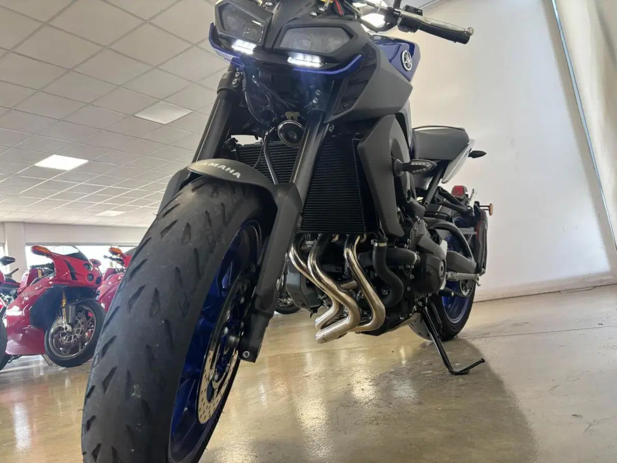 Yamaha MT-09 (2017 - 20) (2)