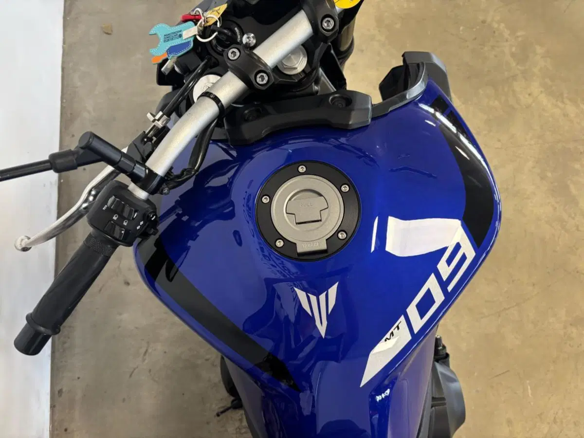 Yamaha MT-09 (2017 - 20) (10)