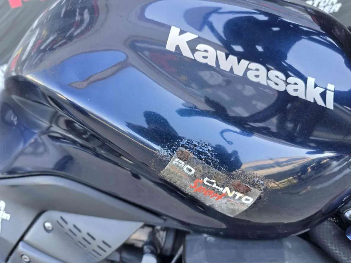 Kawasaki Z 750 (2007 - 14) (19)