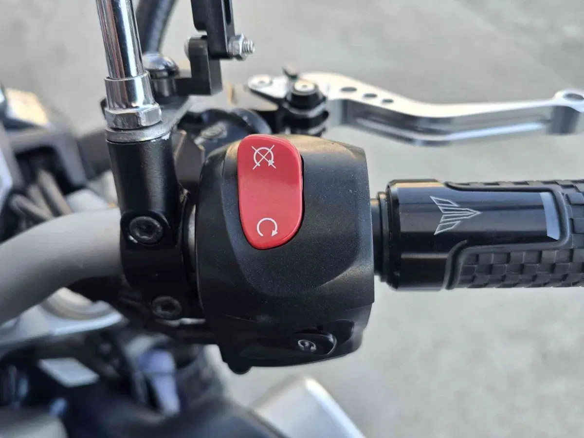 Yamaha MT-01 (2005 - 11) (12)