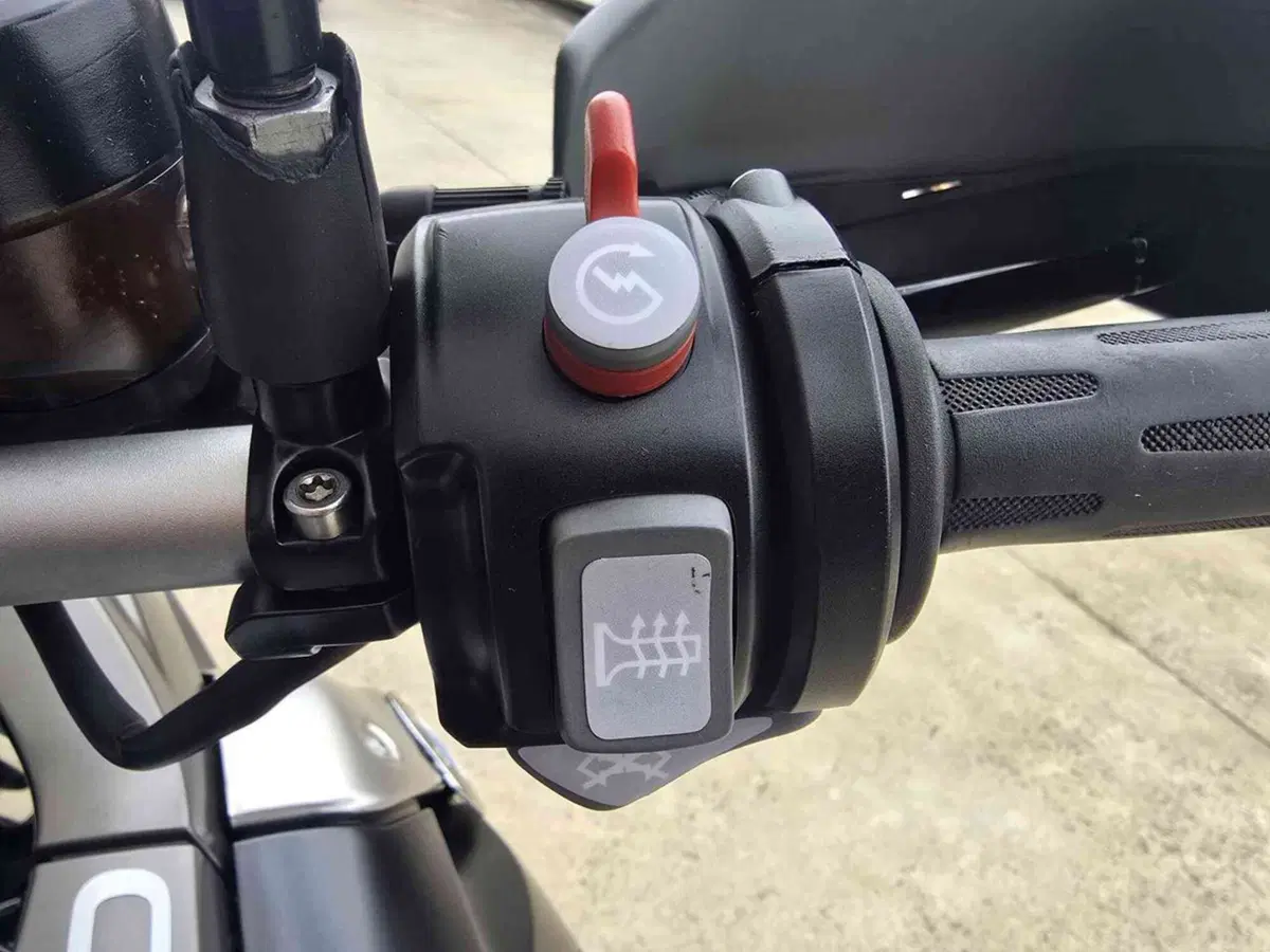 Bmw R 1200 GS (2010 - 12) (19)