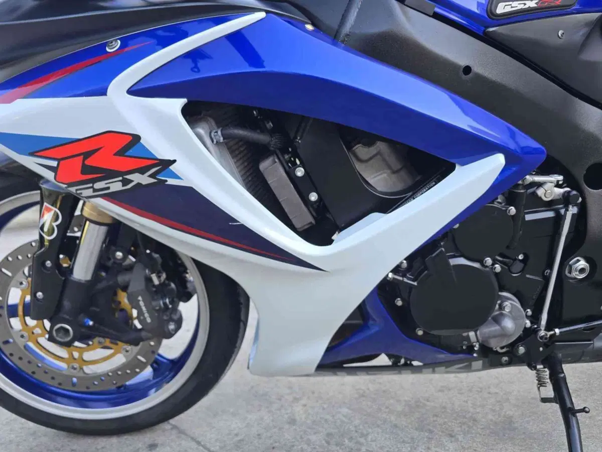 Suzuki GSX R 600 (2006 - 07) (19)
