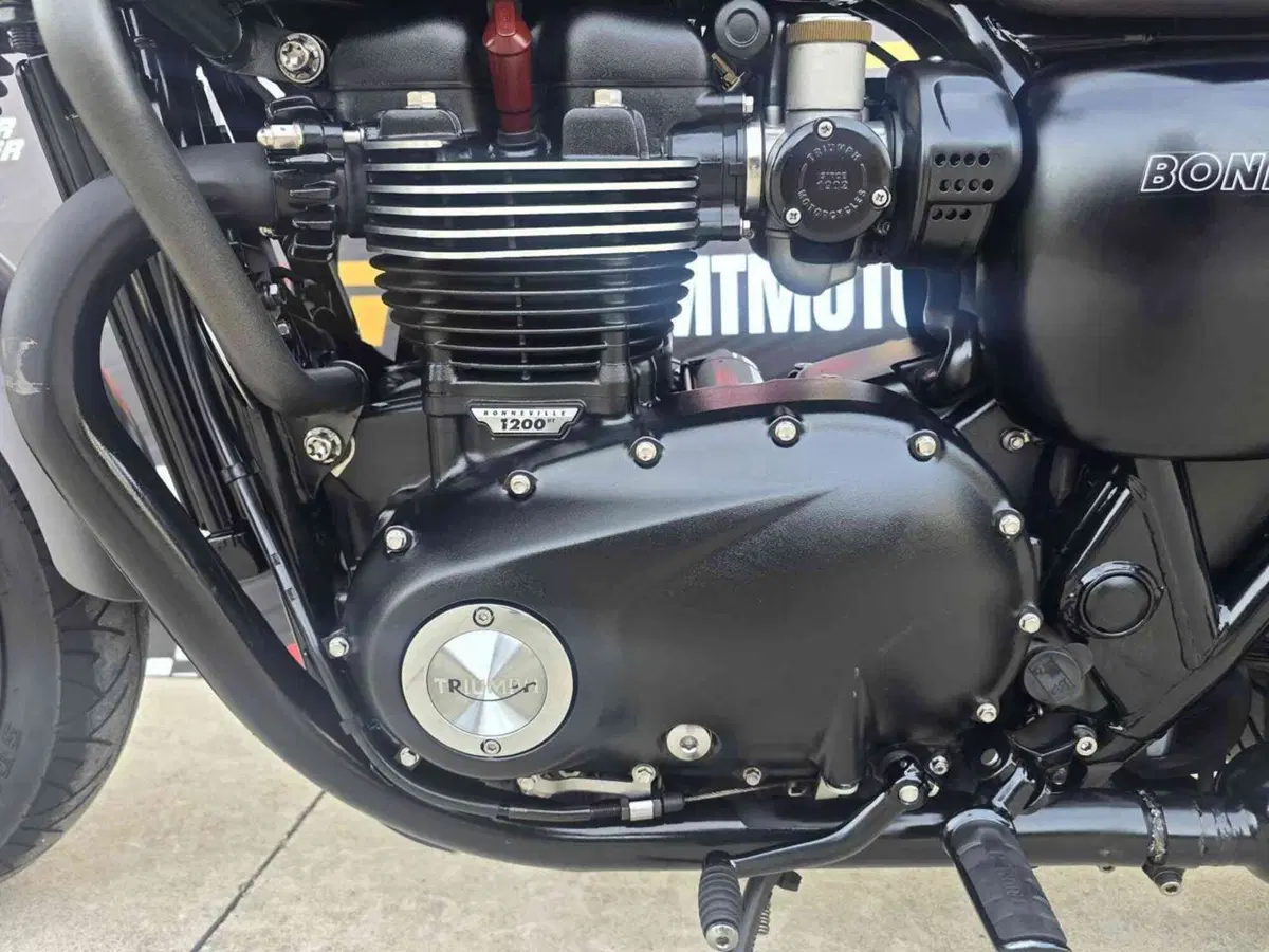 Triumph Bonneville T120 Black (2017 - 20) (7)