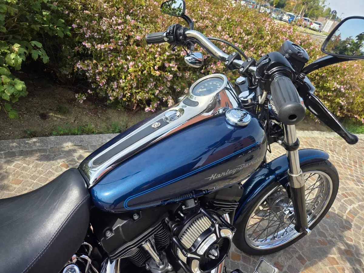 Harley-Davidson 1450 Softail Deuce (1999 - 2001) (4)