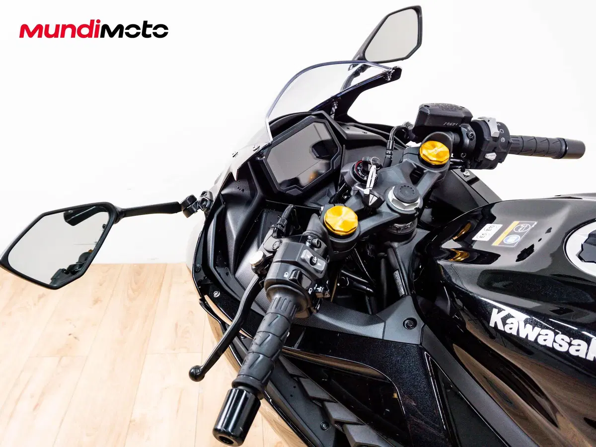 Kawasaki Ninja ZX-4RR (2024 - 26) (11)
