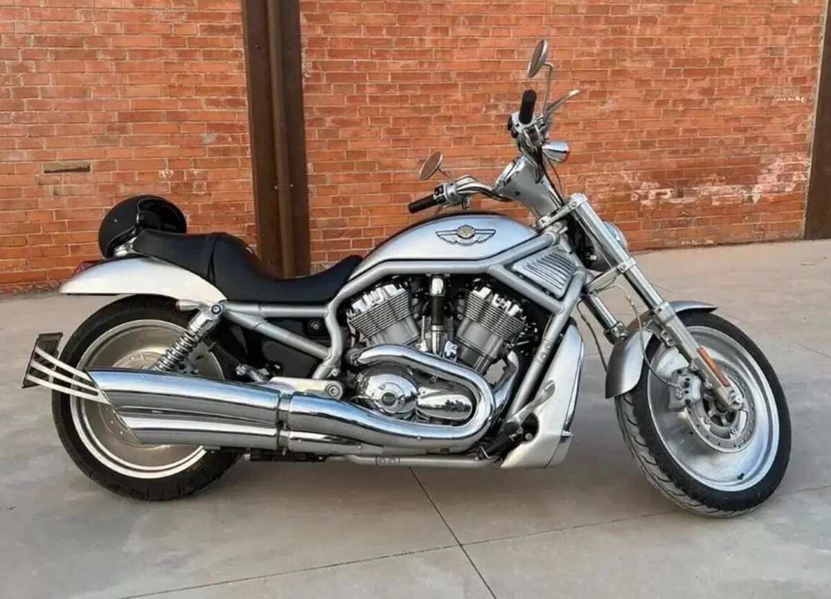 Harley-Davidson 1130 V-Rod (2002 - 05) - VRSCA (4)