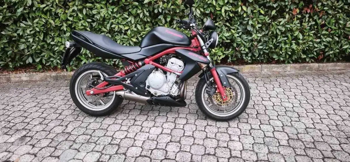 Kawasaki ER-6N (2005 - 08) (2)