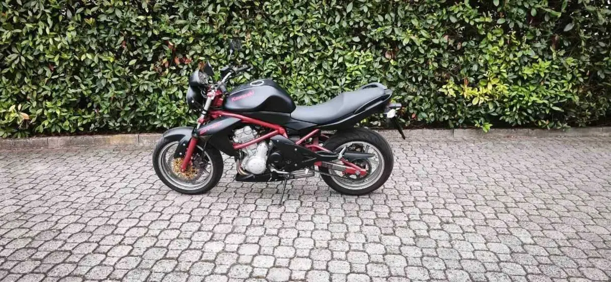 Kawasaki ER-6N (2005 - 08) (3)