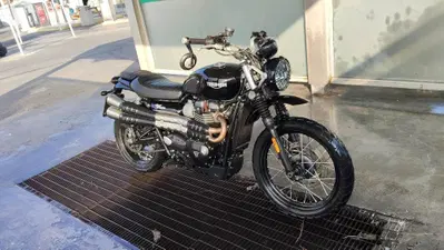 Triumph Street Scrambler 900 (2017 - 18) usata