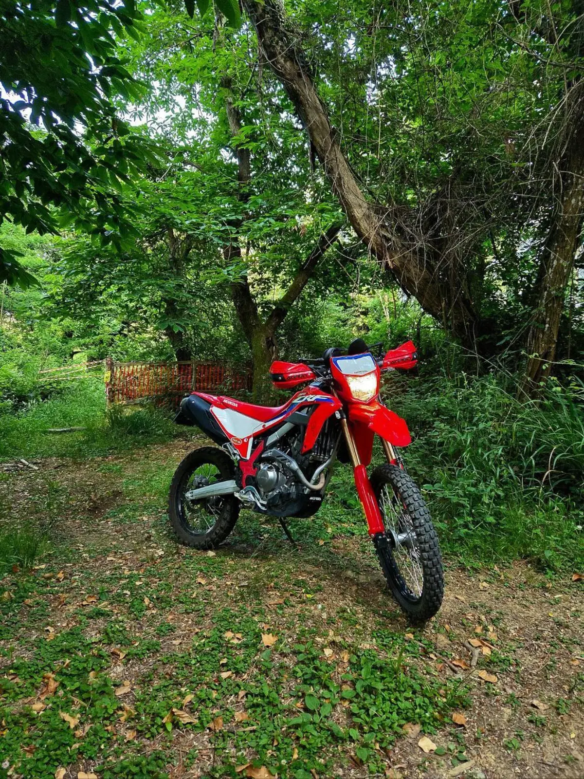 Honda CRF 300L (2021 - 24)