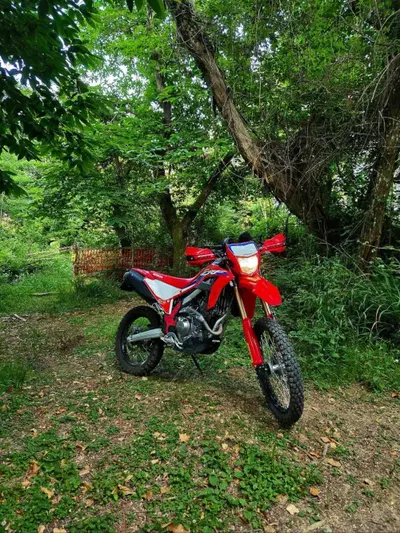 Honda CRF 300L (2021 - 24) usata