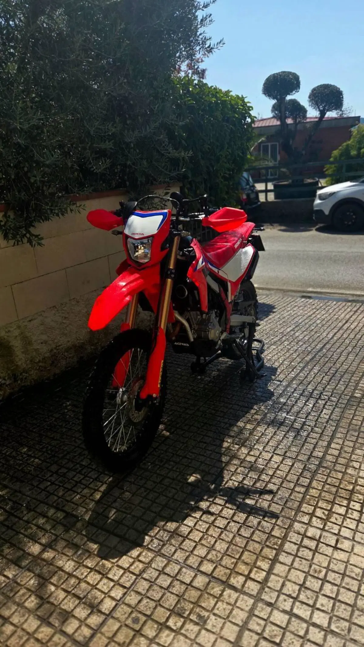 Honda CRF 300L (2021 - 24) (3)