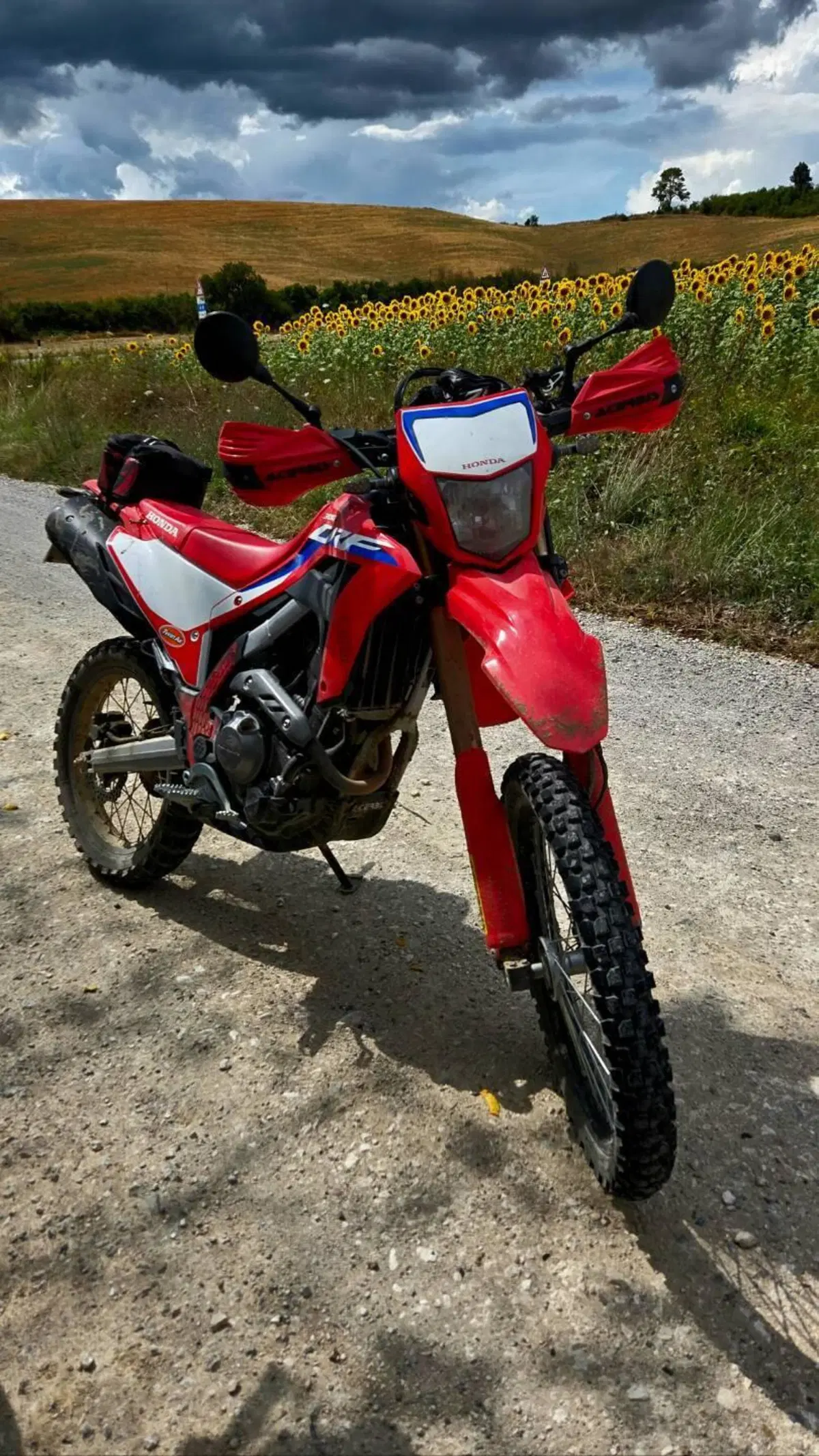 Honda CRF 300L (2021 - 24) (6)