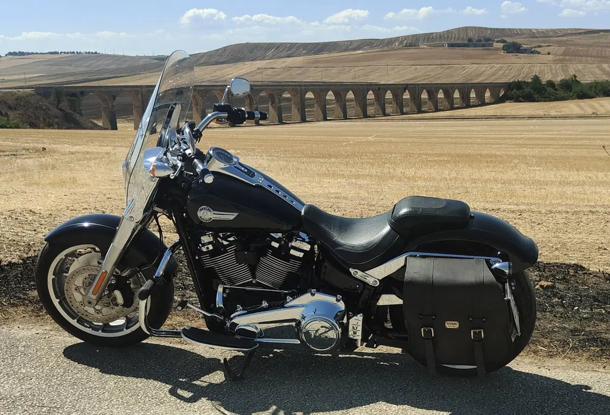 Harley-Davidson Fat Boy 114 (2021 - 24) (2)