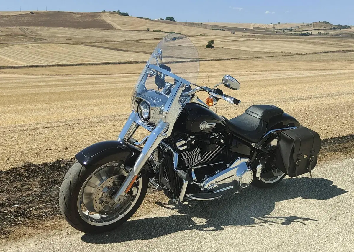 Harley-Davidson Fat Boy 114 (2021 - 24) (3)