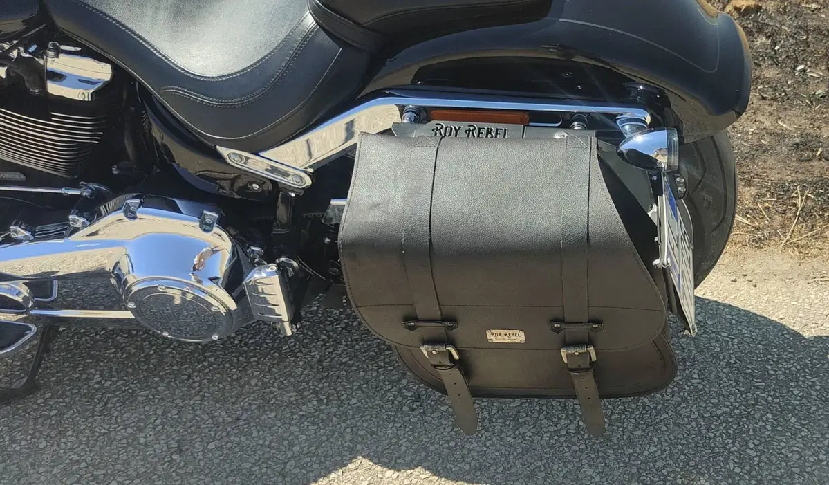 Harley-Davidson Fat Boy 114 (2021 - 24) (7)