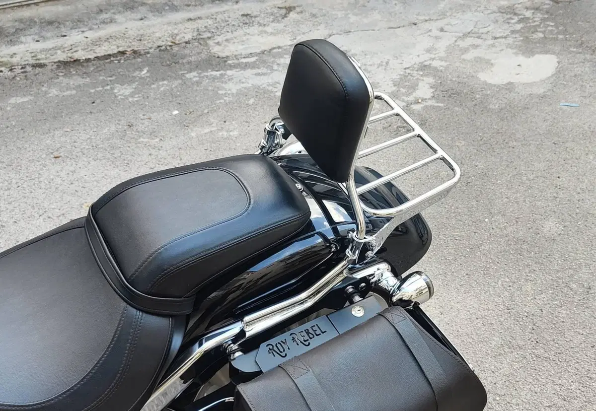 Harley-Davidson Fat Boy 114 (2021 - 24) (10)