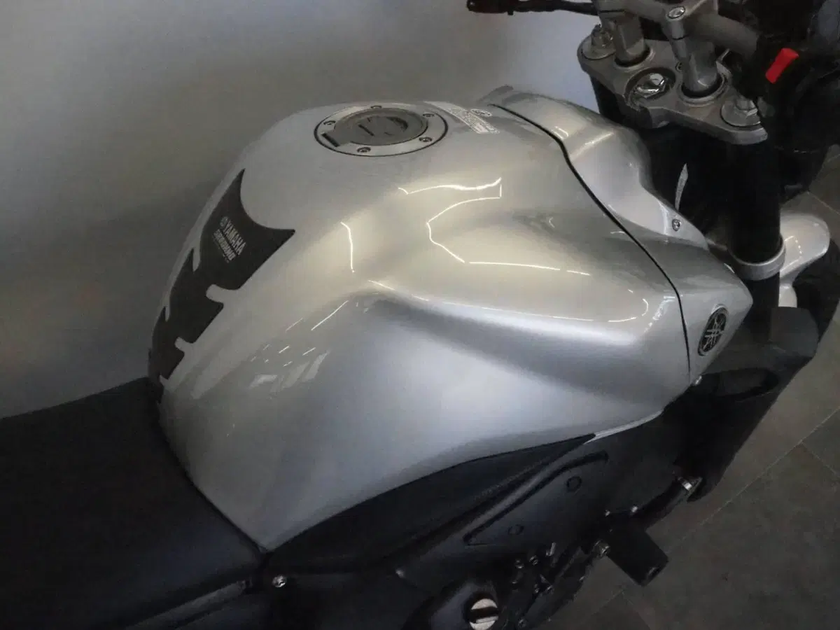 Yamaha FZ1 ABS (2006 - 16) (6)