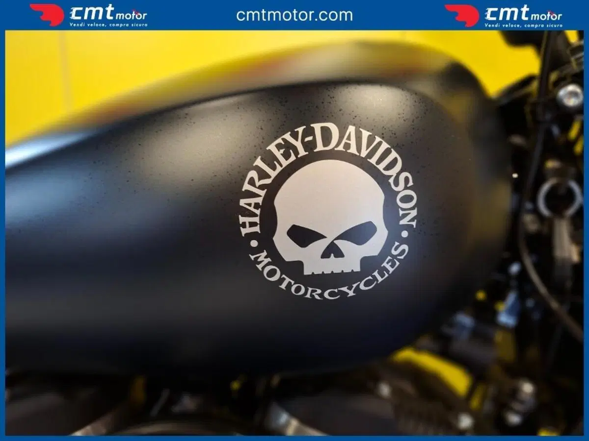 Harley-Davidson 883 Iron (2017 - 20) - XL 883N (7)