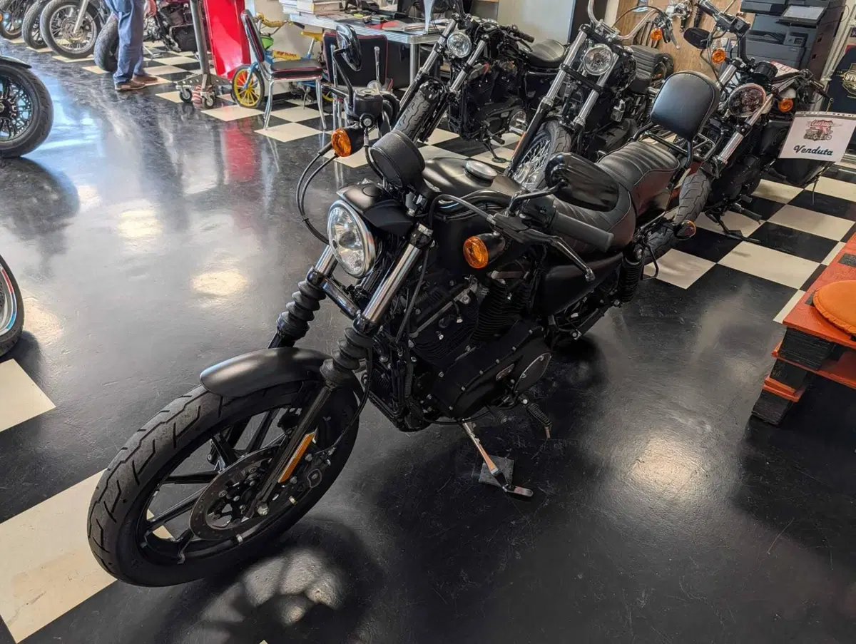 Harley-Davidson 883 Iron (2017 - 20) - XL 883N (4)