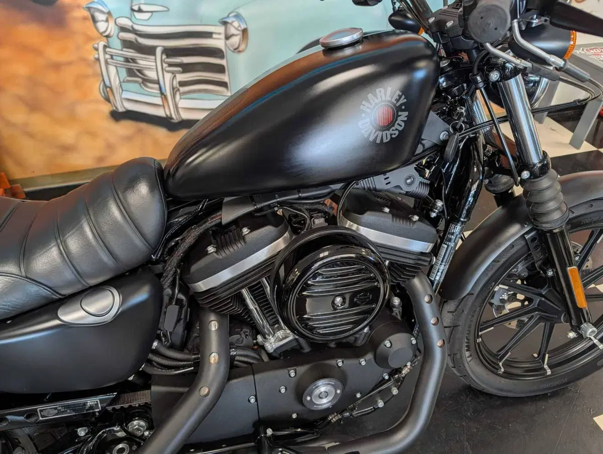 Harley-Davidson 883 Iron (2017 - 20) - XL 883N (6)