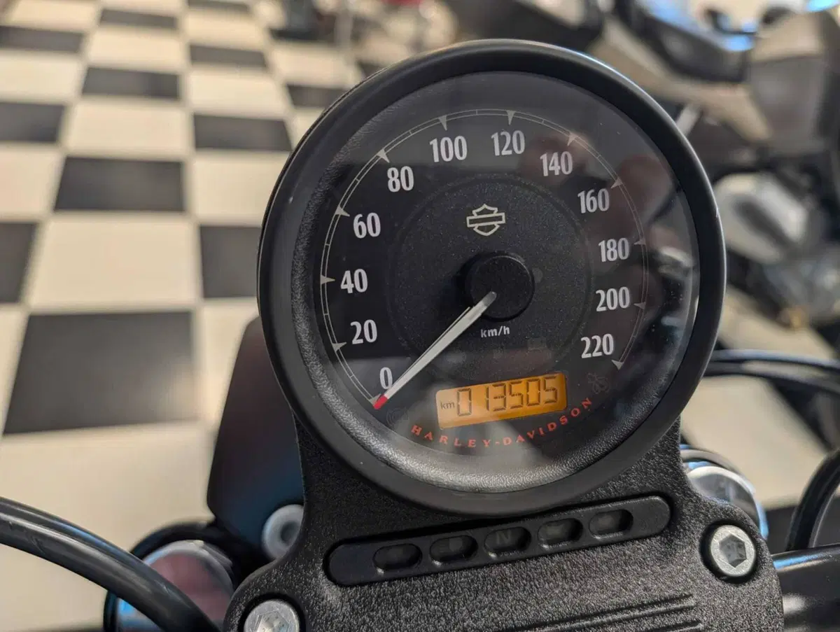 Harley-Davidson 883 Iron (2017 - 20) - XL 883N (8)
