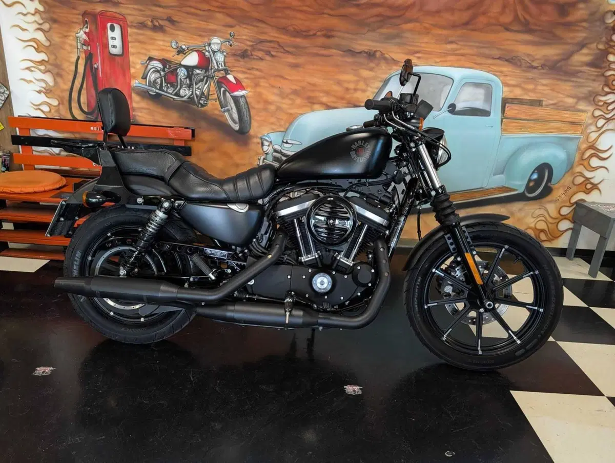 Harley-Davidson 883 Iron (2017 - 20) - XL 883N (9)
