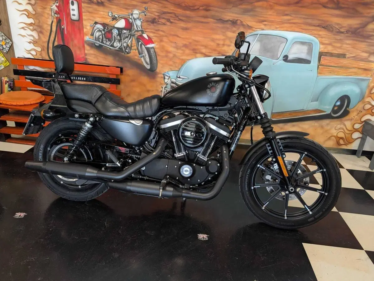 Harley-Davidson 883 Iron (2017 - 20) - XL 883N (10)