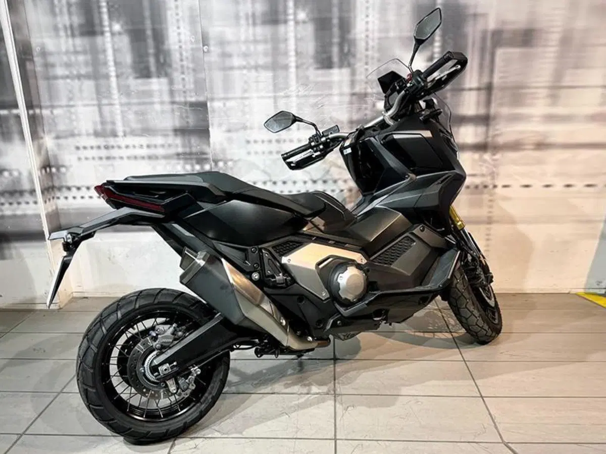 Honda Dax 125 (2023 - 24) (5)