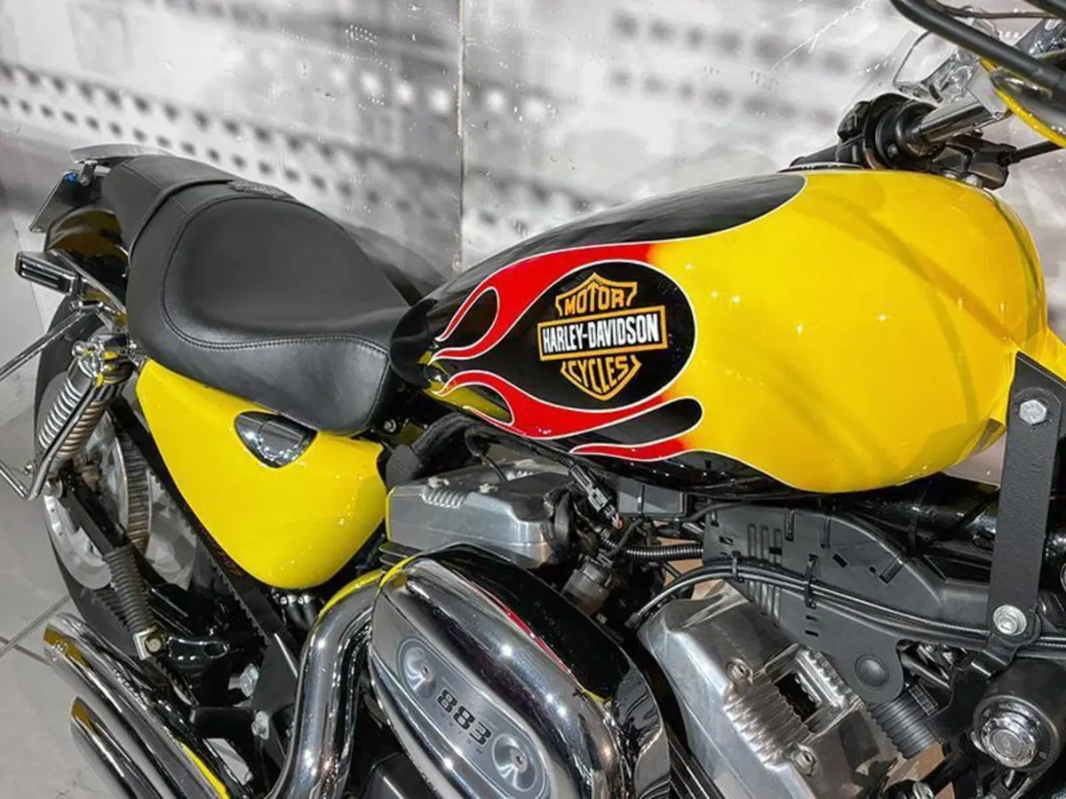 Harley-Davidson 883 (2006 - 07) - XL (3)