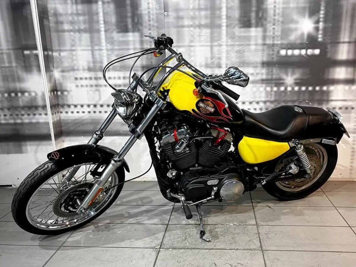 Harley-Davidson 883 (2006 - 07) - XL (7)