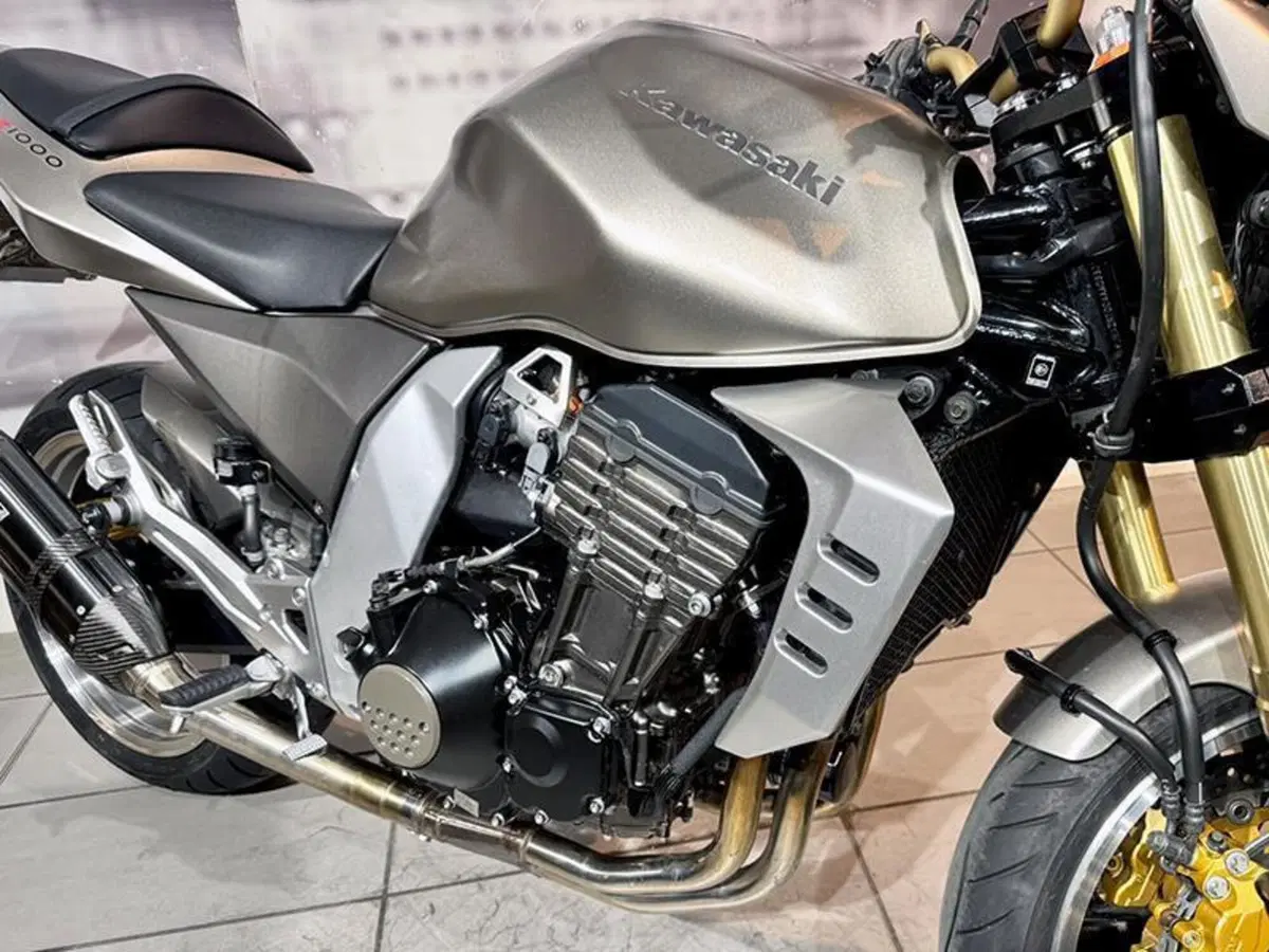 Kawasaki Z 1000 (2003 - 06) (3)