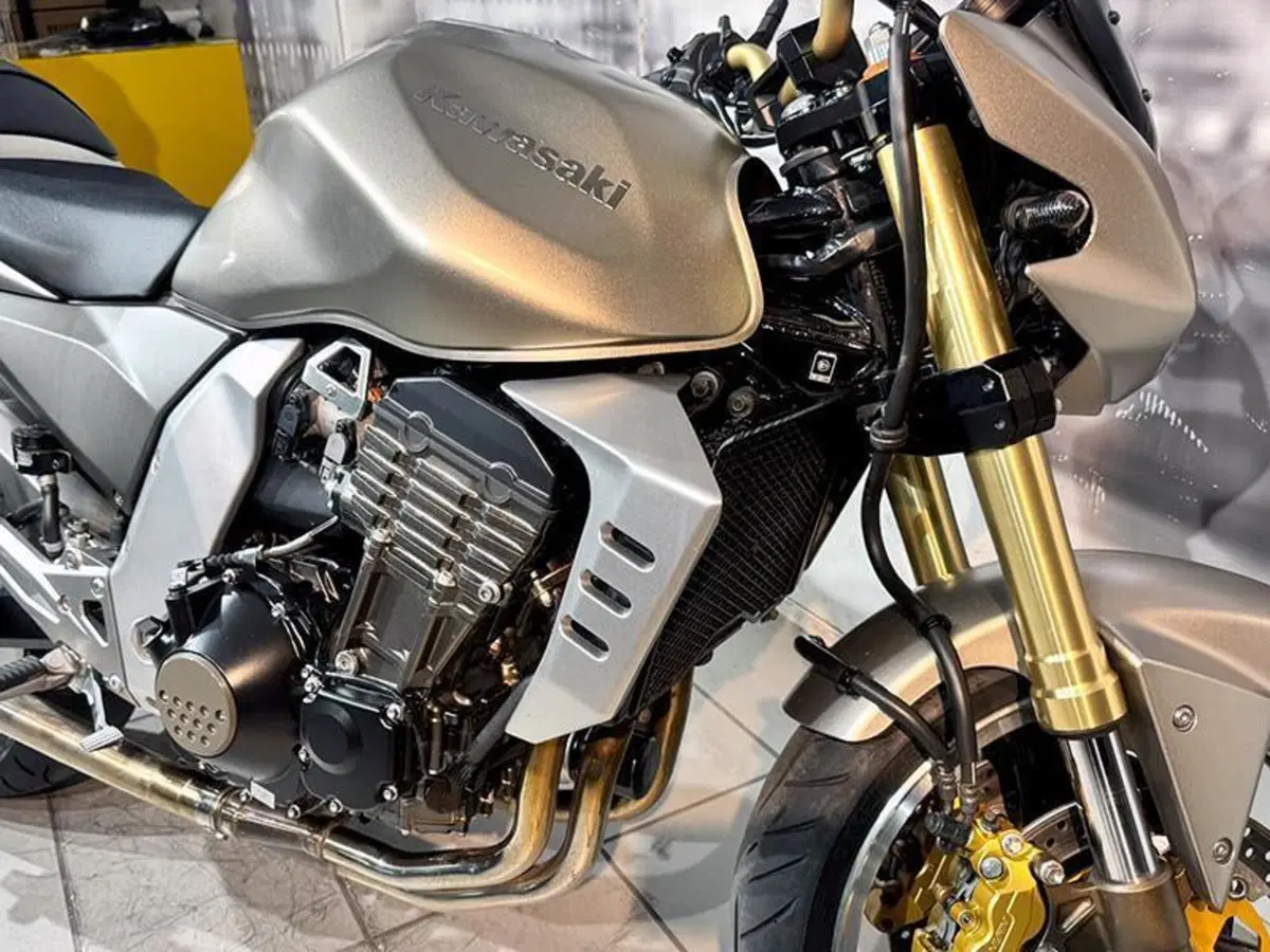 Kawasaki Z 1000 (2003 - 06) (4)