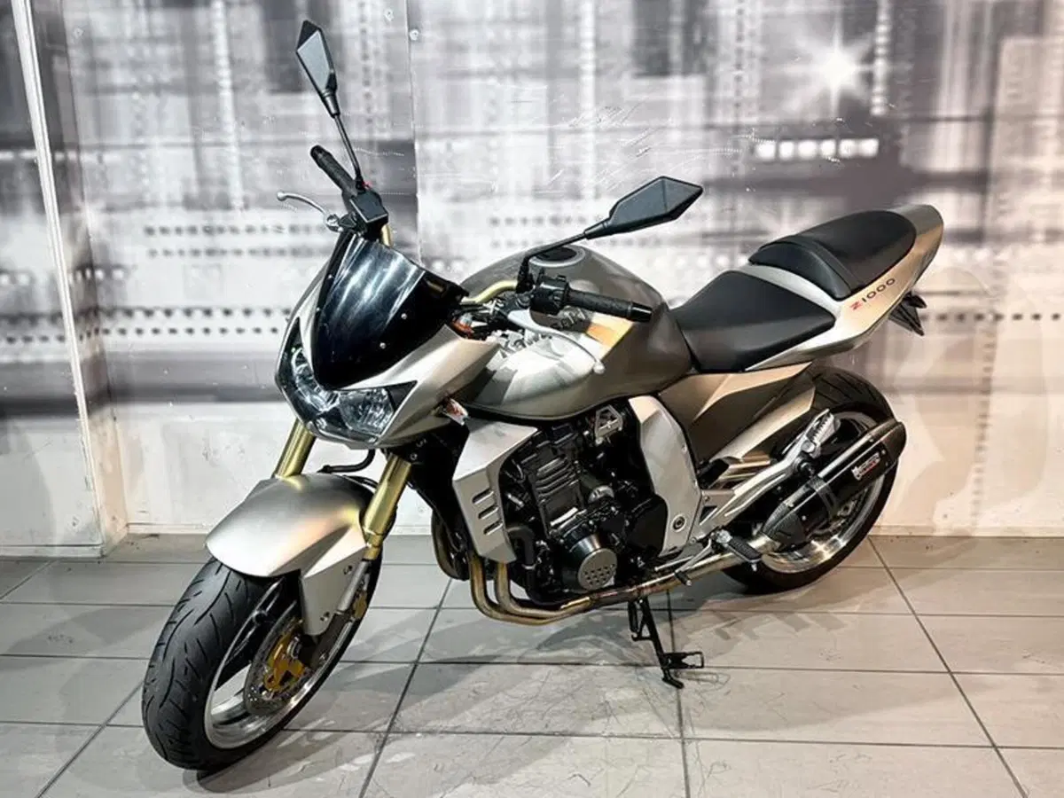 Kawasaki Z 1000 (2003 - 06) (7)