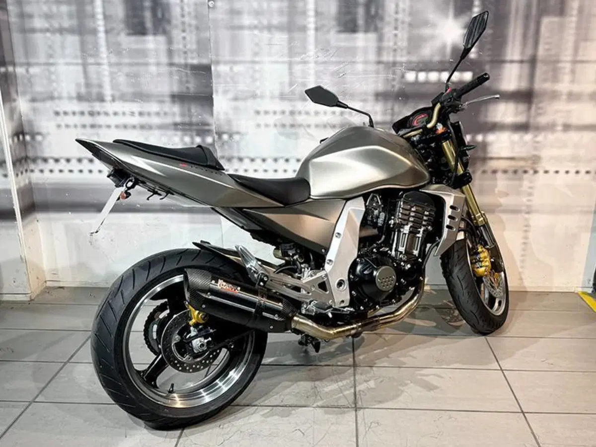Kawasaki Z 1000 (2003 - 06) (8)