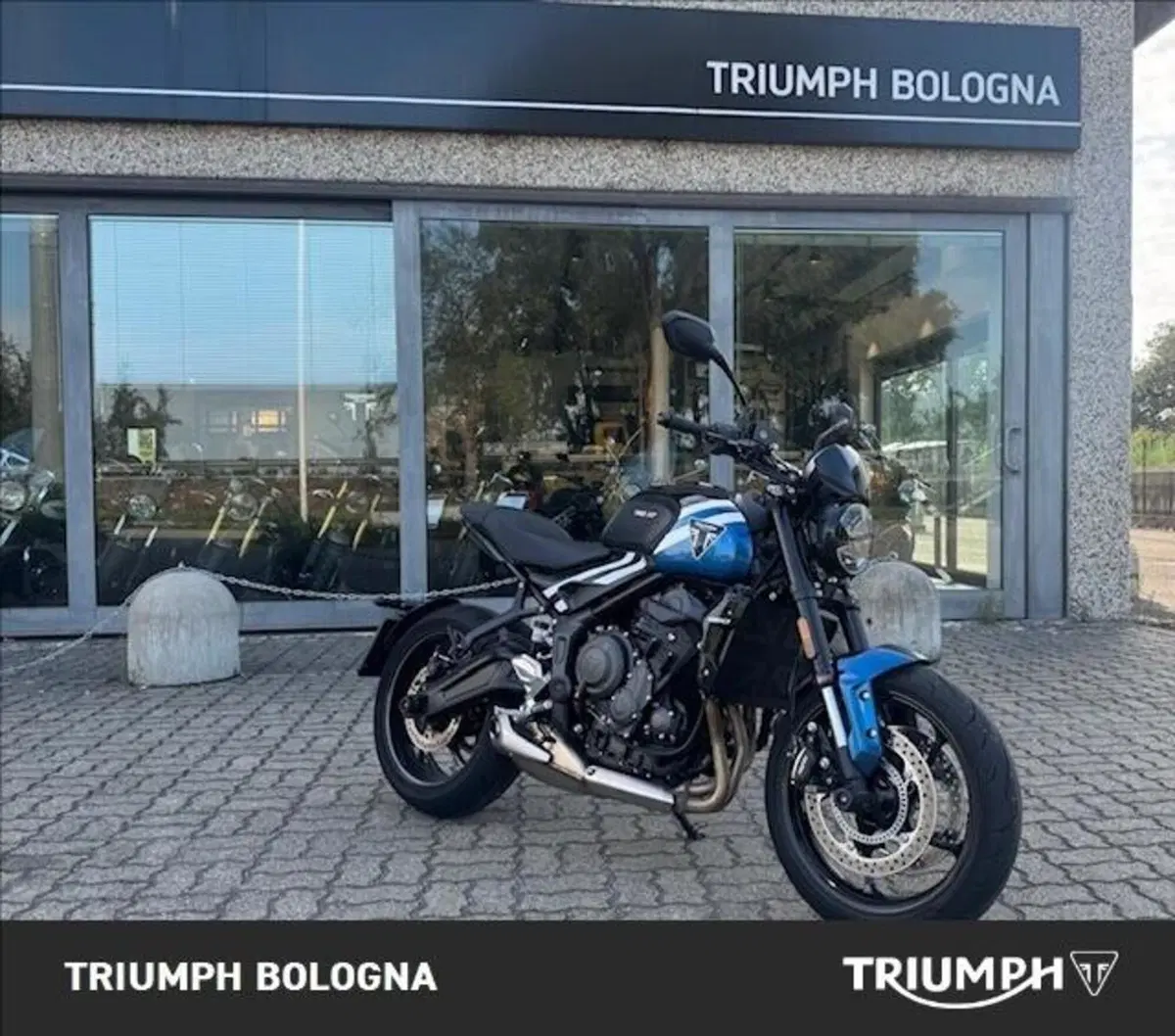 Triumph Trident 660 (2025) (3)