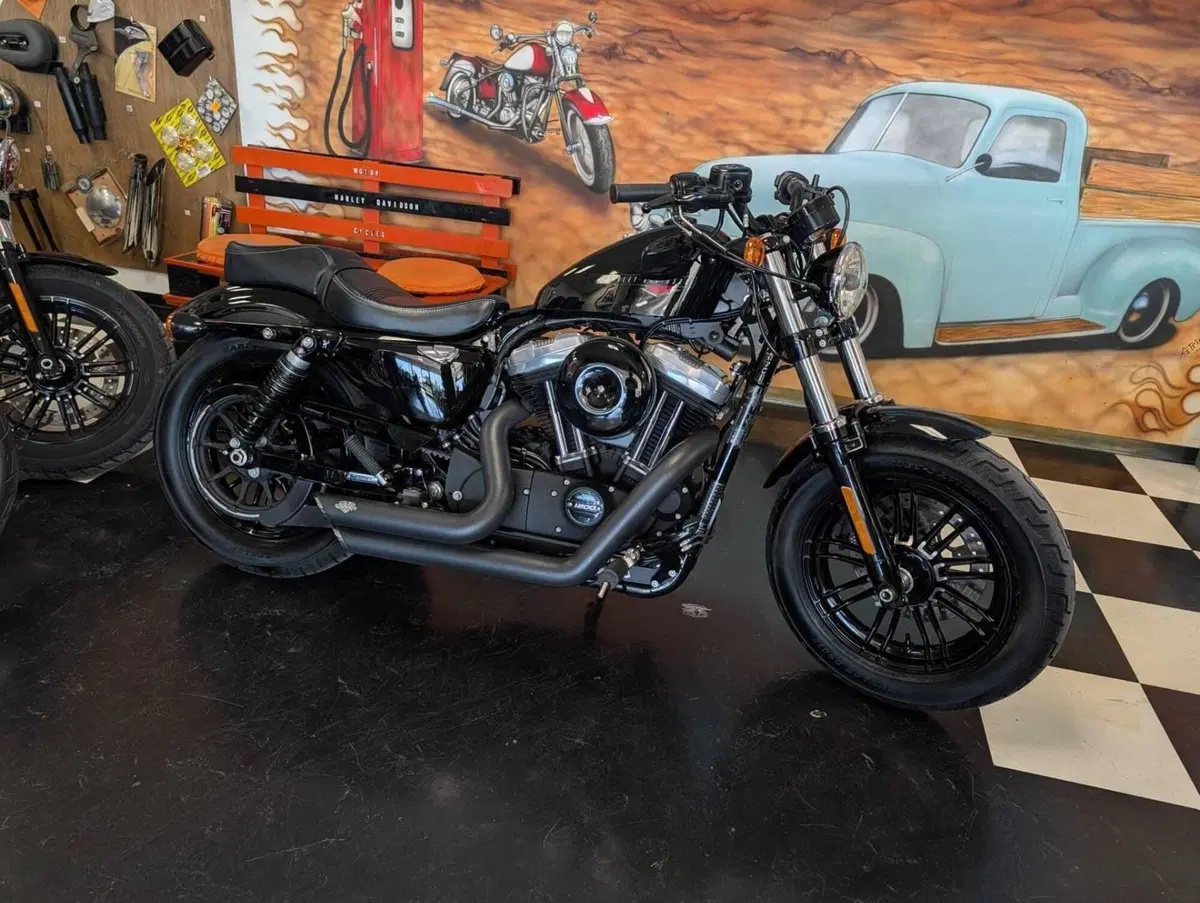 Harley-Davidson 1200 Forty-Eight (2016 - 20) (2)