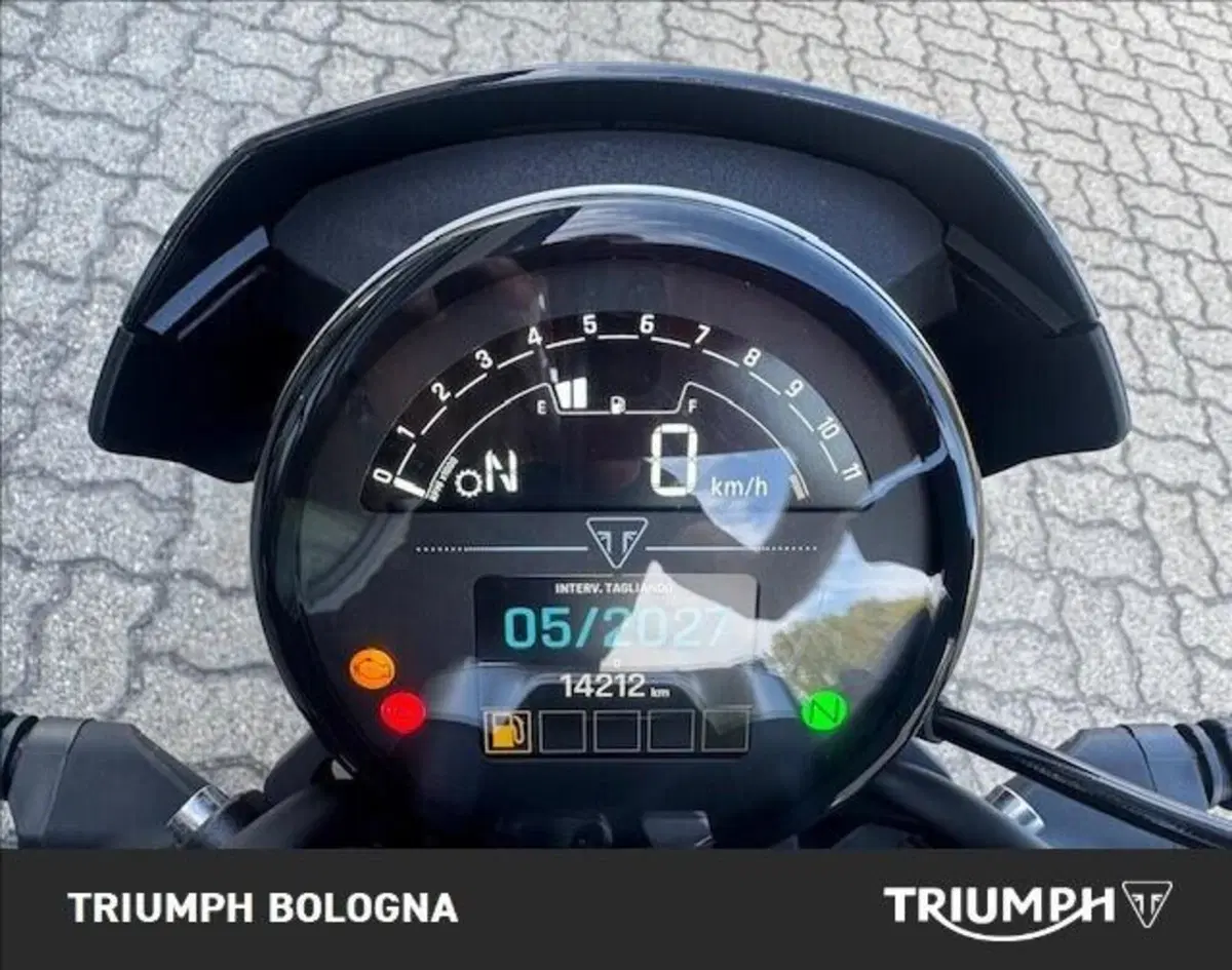 Triumph Trident 660 (2025) (5)