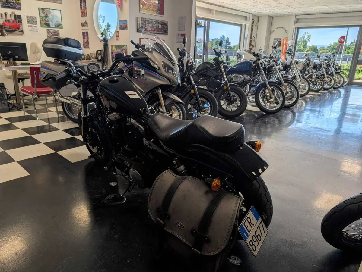 Harley-Davidson 1200 Forty-Eight (2016 - 20) (3)