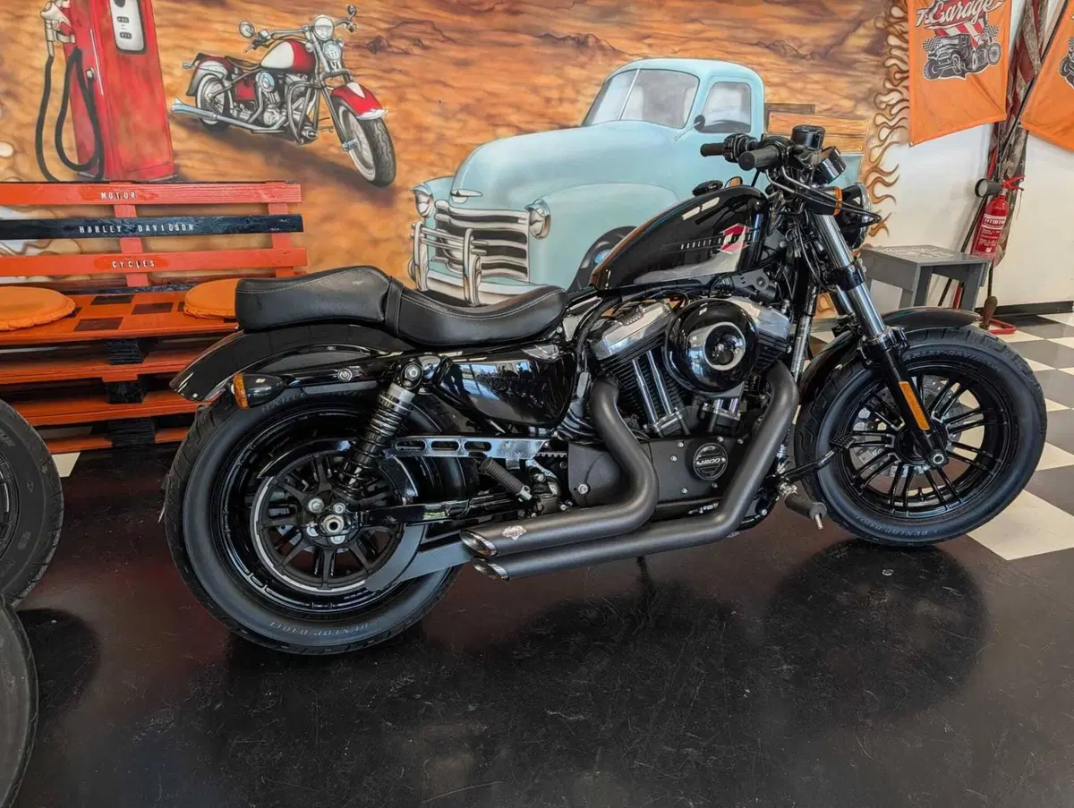 Harley-Davidson 1200 Forty-Eight (2016 - 20) (4)