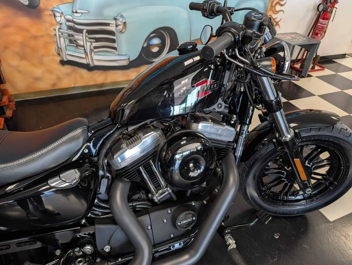 Harley-Davidson 1200 Forty-Eight (2016 - 20) (5)