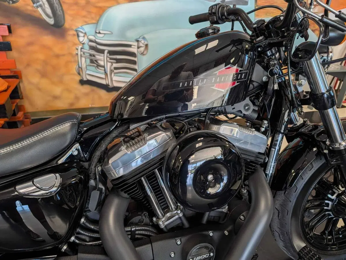 Harley-Davidson 1200 Forty-Eight (2016 - 20) (6)