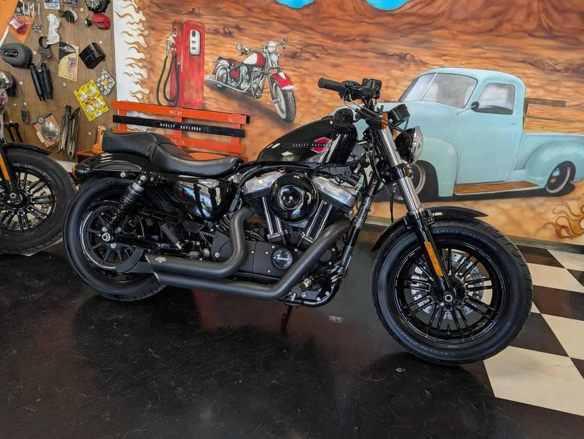 Harley-Davidson 1200 Forty-Eight (2016 - 20) (7)