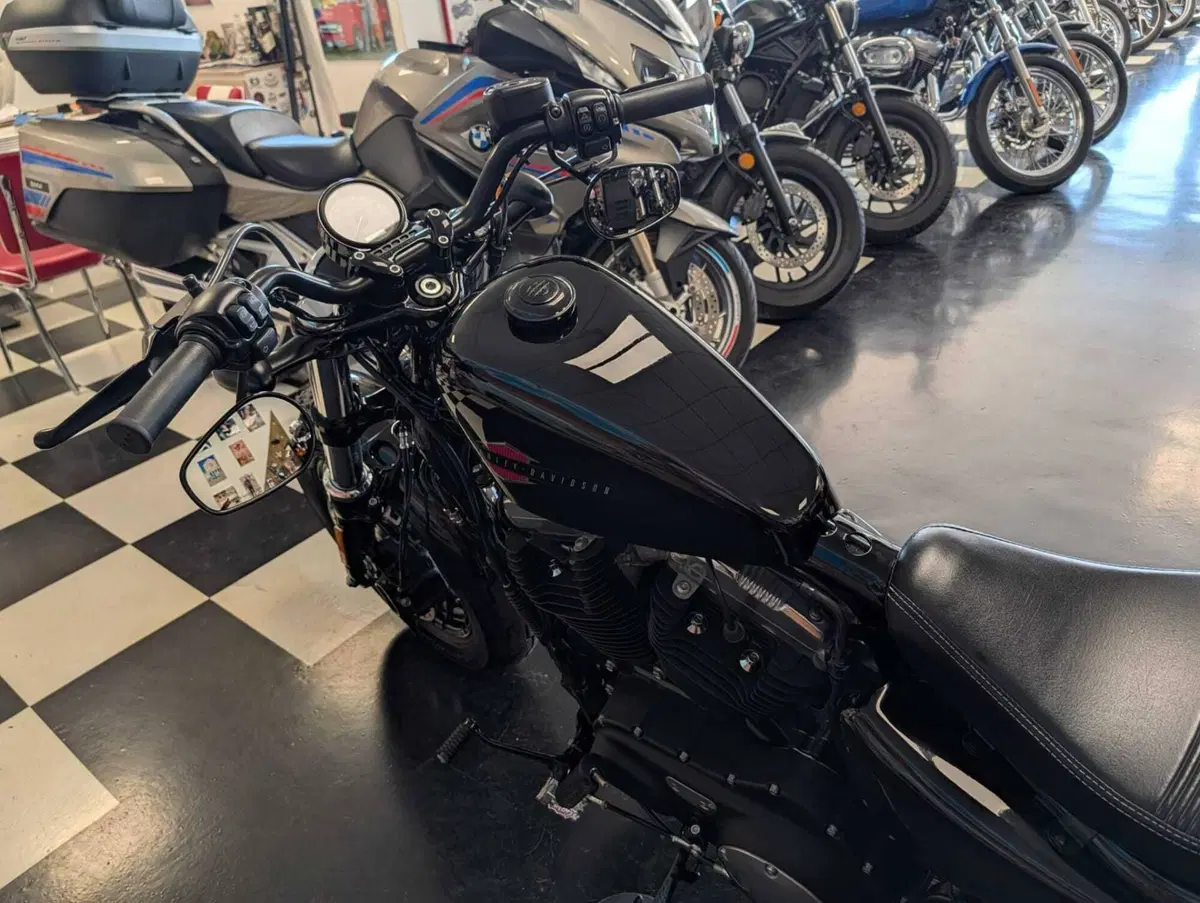 Harley-Davidson 1200 Forty-Eight (2016 - 20) (8)