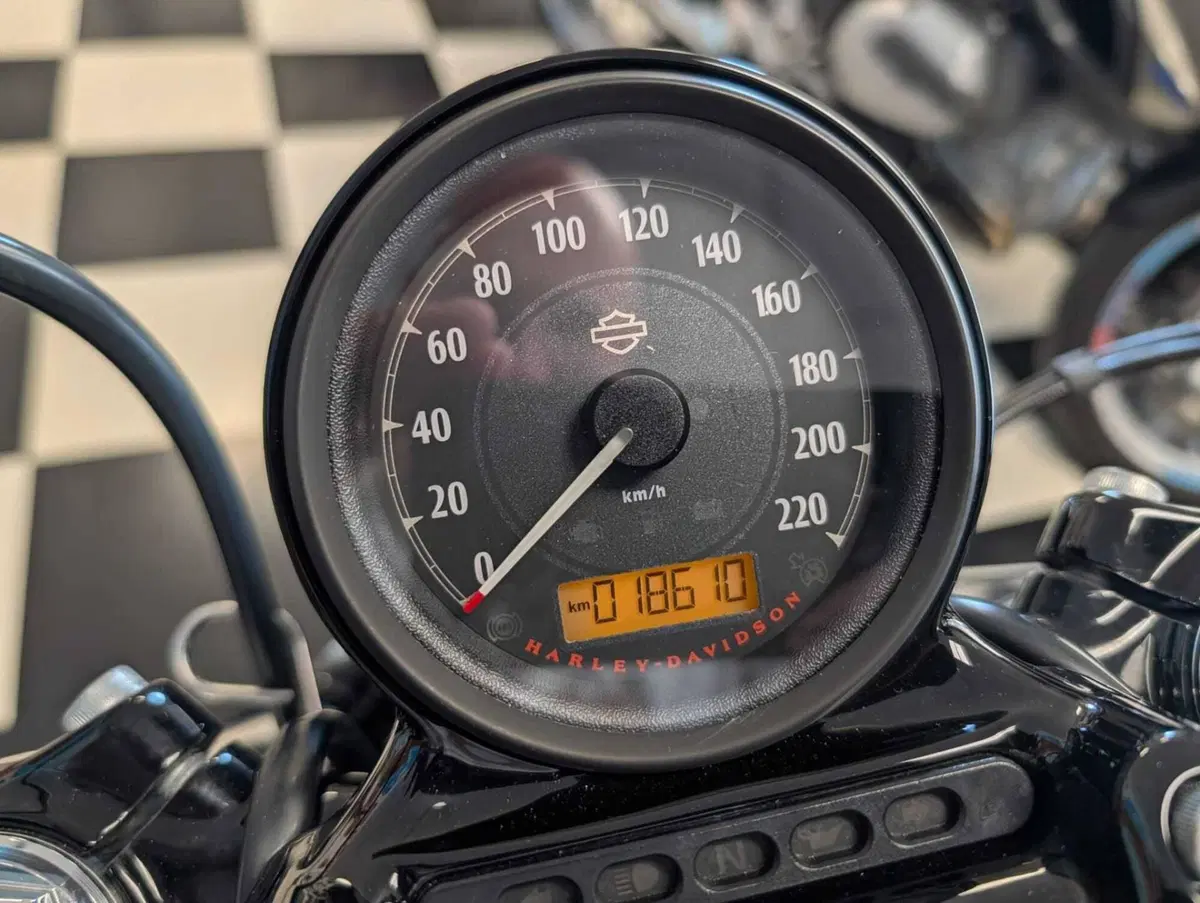 Harley-Davidson 1200 Forty-Eight (2016 - 20) (9)