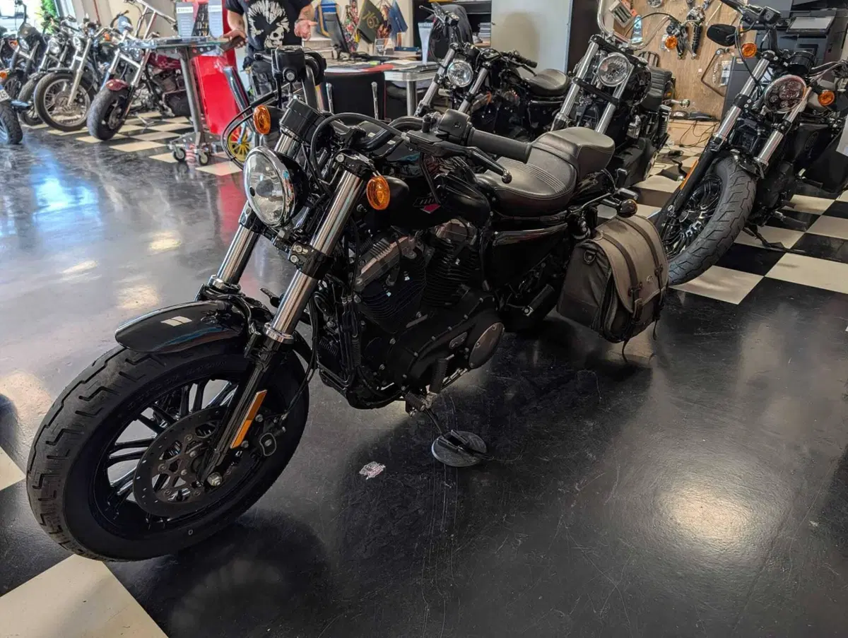 Harley-Davidson 1200 Forty-Eight (2016 - 20) (10)