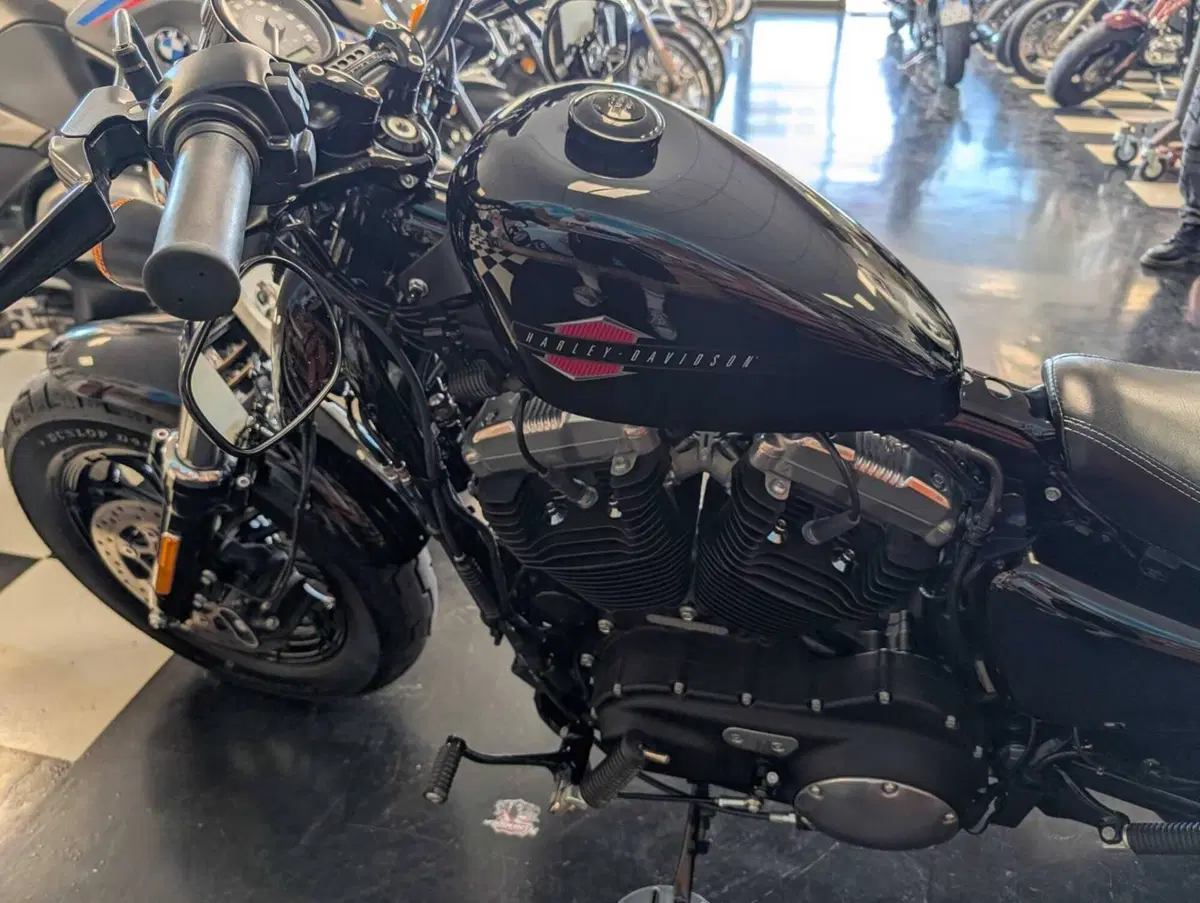 Harley-Davidson 1200 Forty-Eight (2016 - 20) (13)