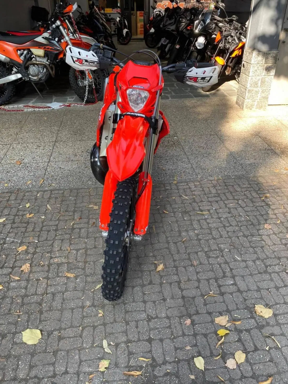 Betamotor RR 300 2T Enduro (2023) (4)